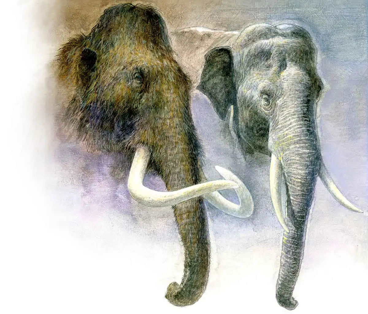 mammoth and elephant