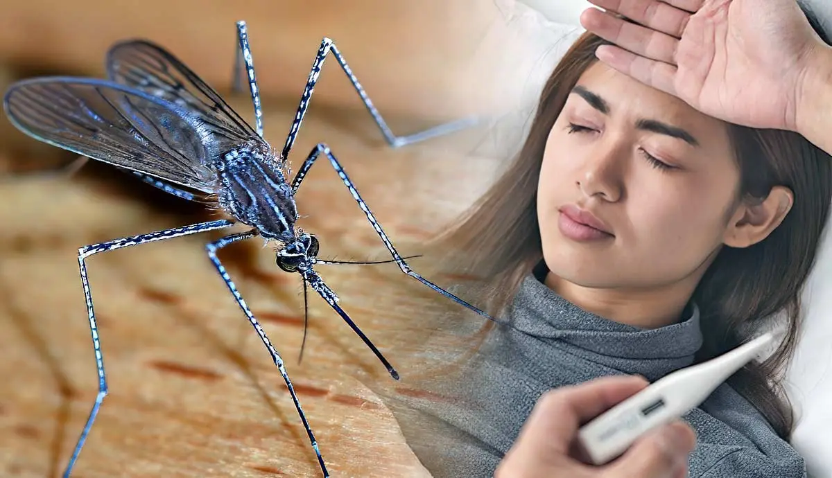 what diseases do mosquitos carry