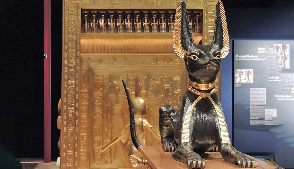 sphinx cat statue ancient egypt