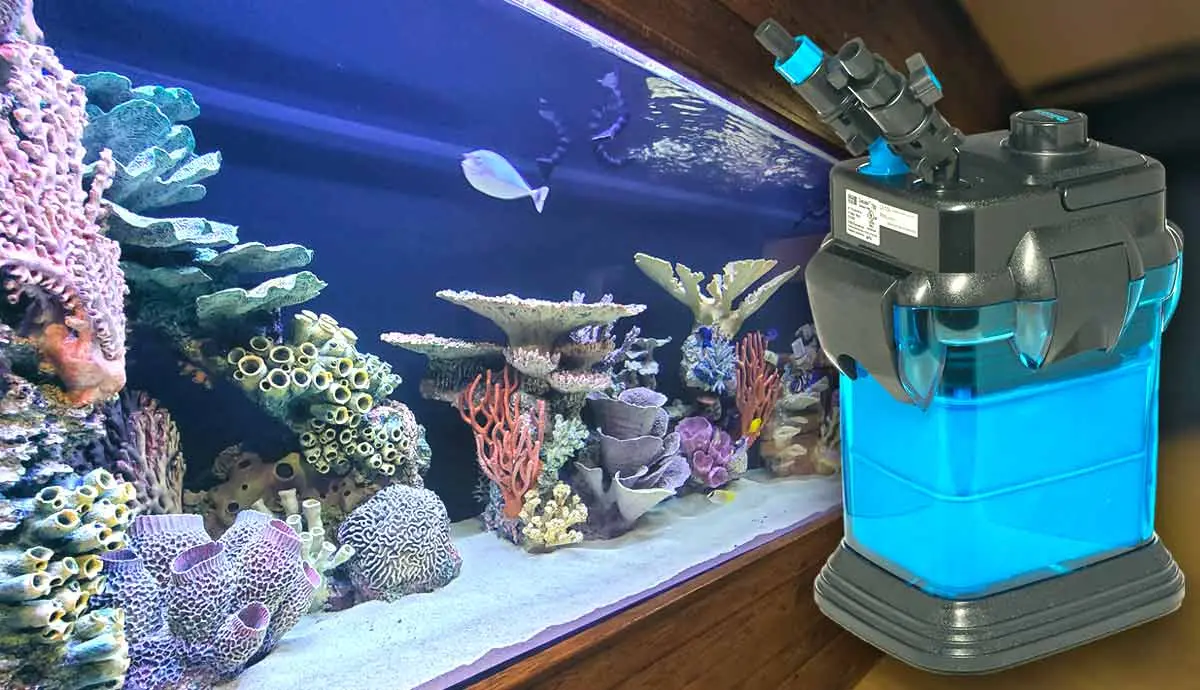 choosing the right filter for your small fish tank