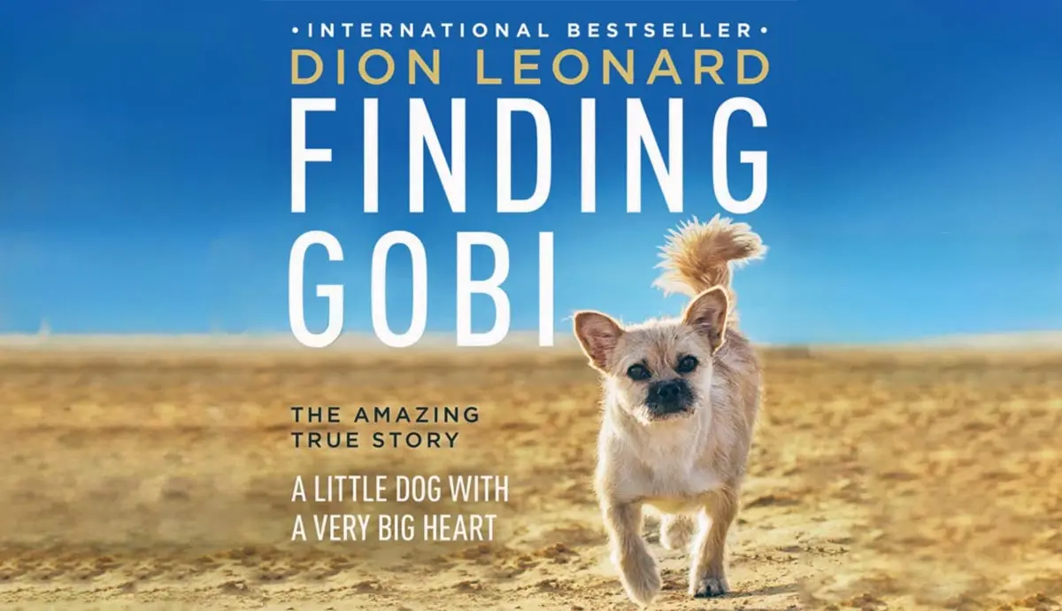 finding gobi book