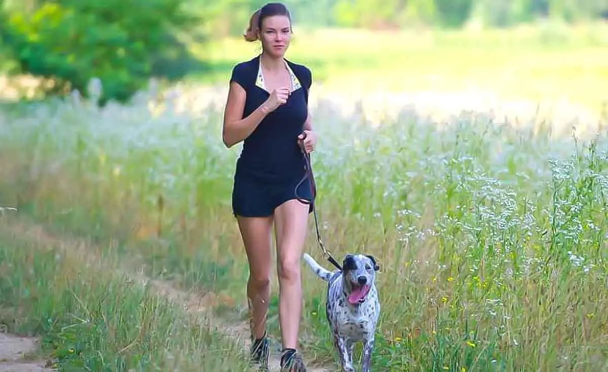 dog running in field Enhanced