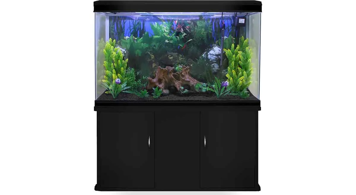 fish tank heater