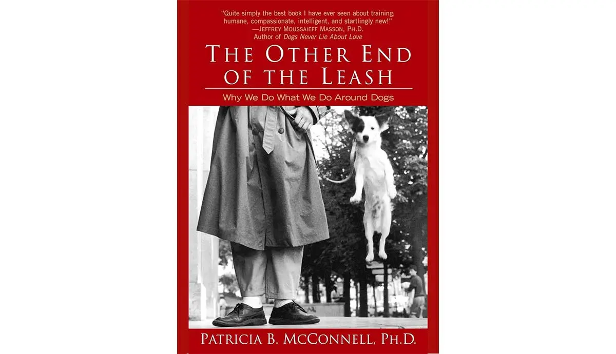 The other end of the leash