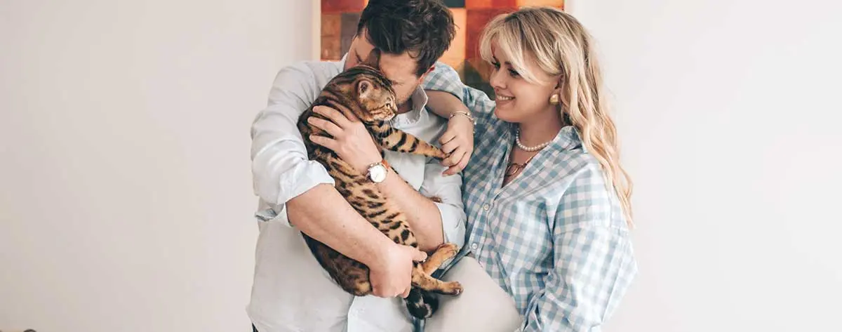 pregnant couple embracing cat