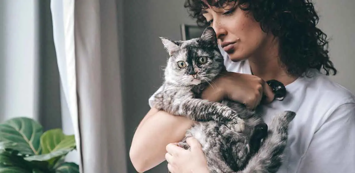 woman hugging gray cat
