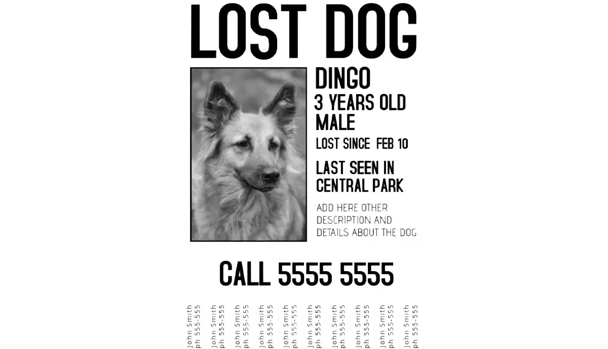 sample lost dog flyer