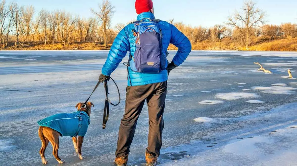 cold dog hiking gear