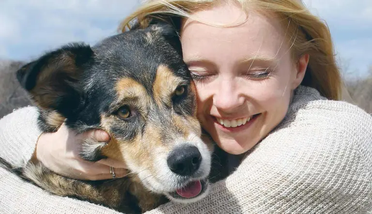 things pet lovers should know about fostering