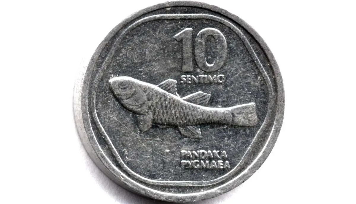 pygmy goby on a coin