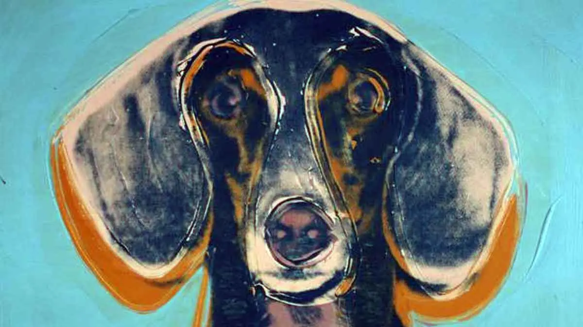 dachshund picture blue background