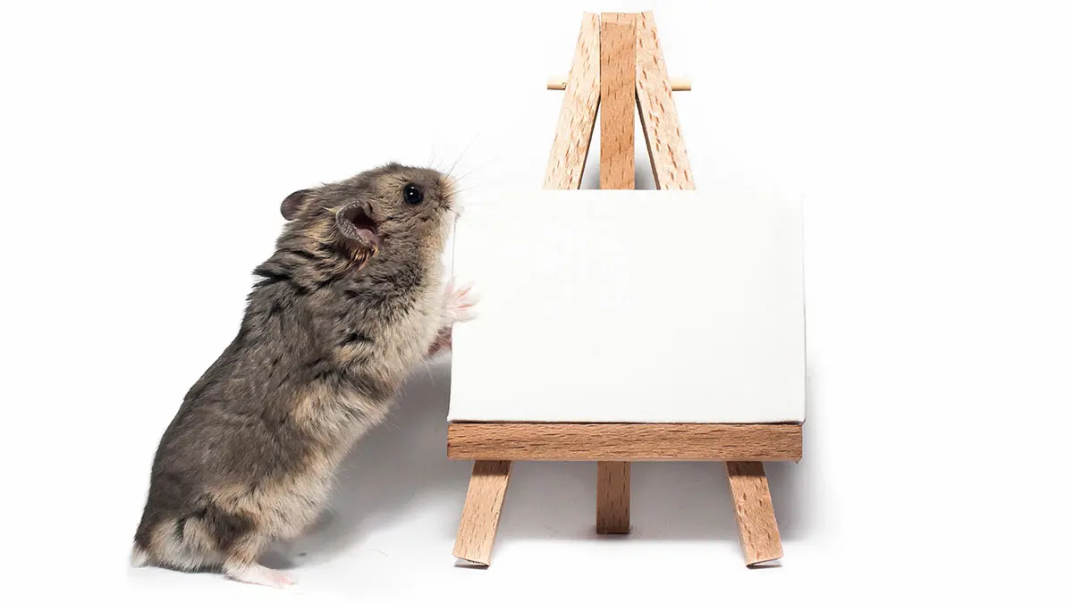 dwarf hamster with easel
