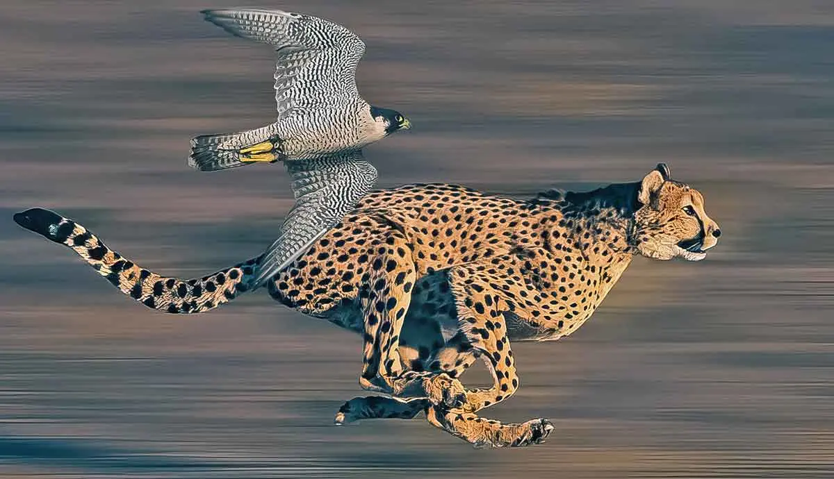 fastest animal on earth