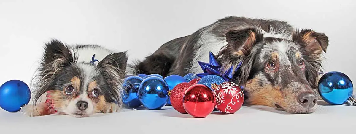 dogs ornaments