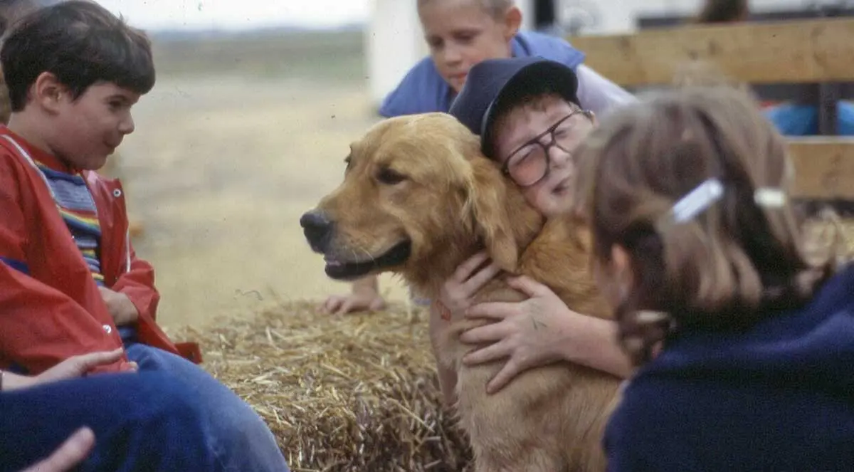 dog with children