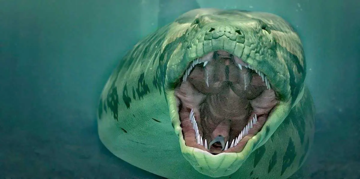 titanoboa swimming open mouth