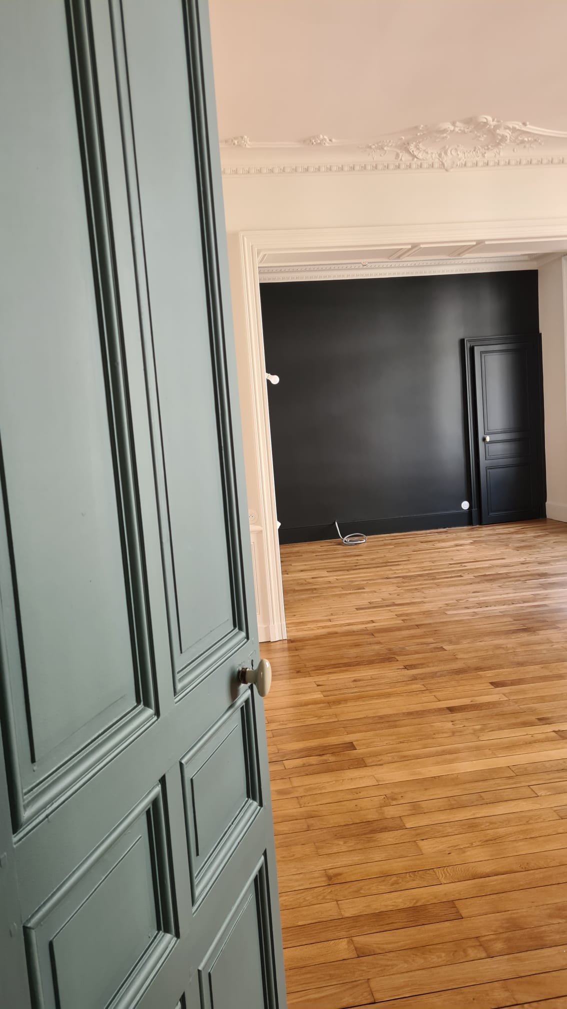 Porte à panneaux laquée vert-de-gris ouvrant sur une pièce aux murs noirs