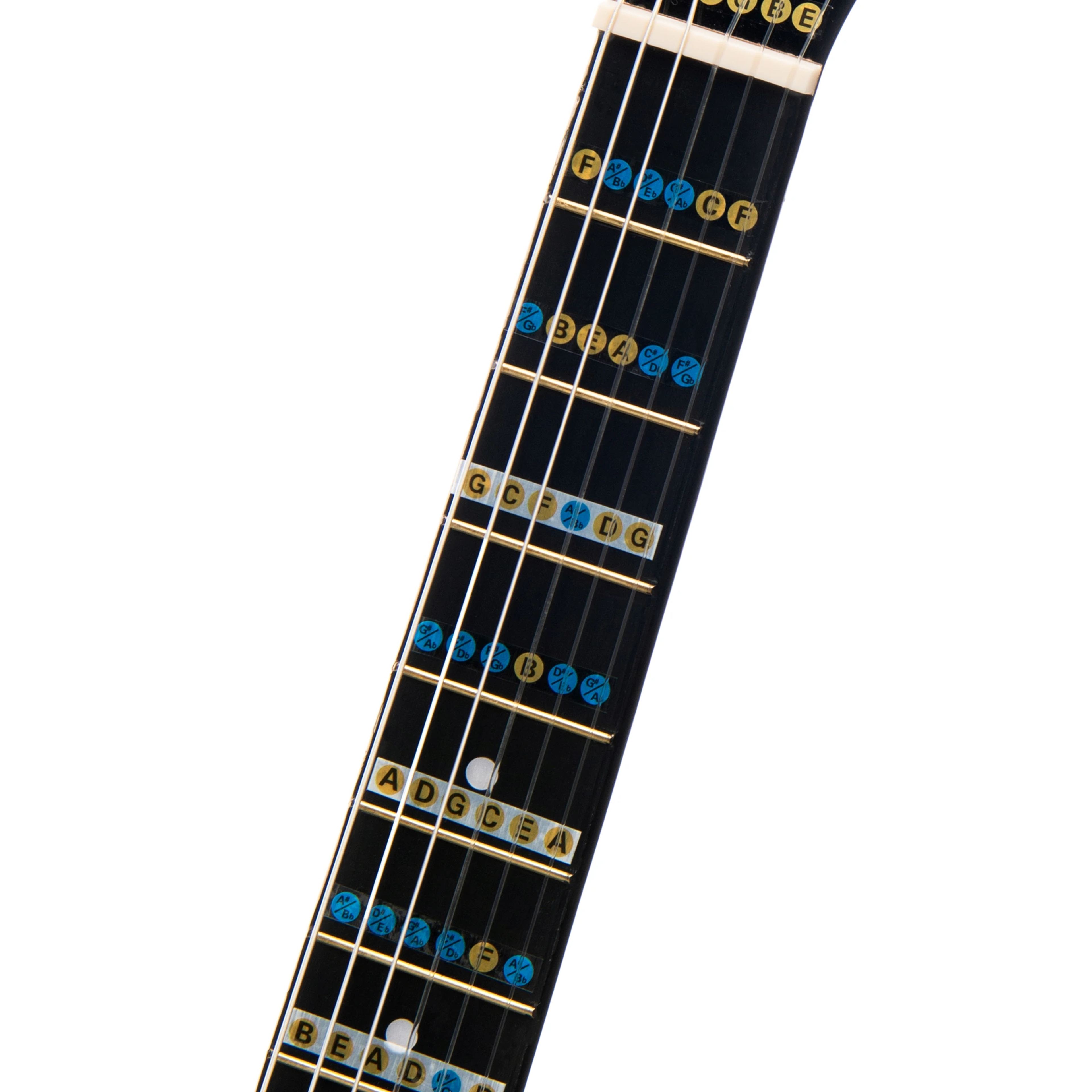 AVORIS GC-10 SuperCombo фото 6