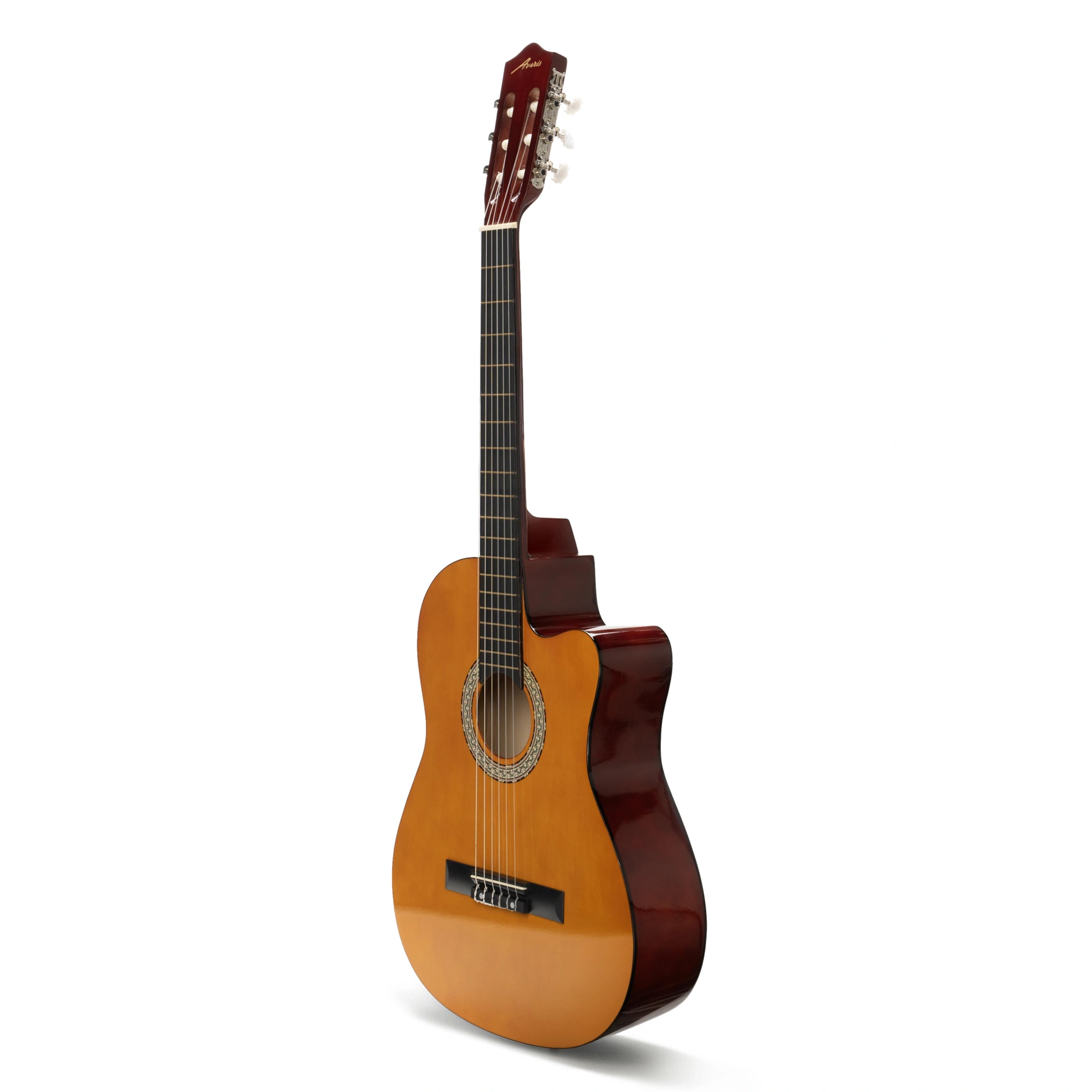 AVORIS GC-20F SuperCombo