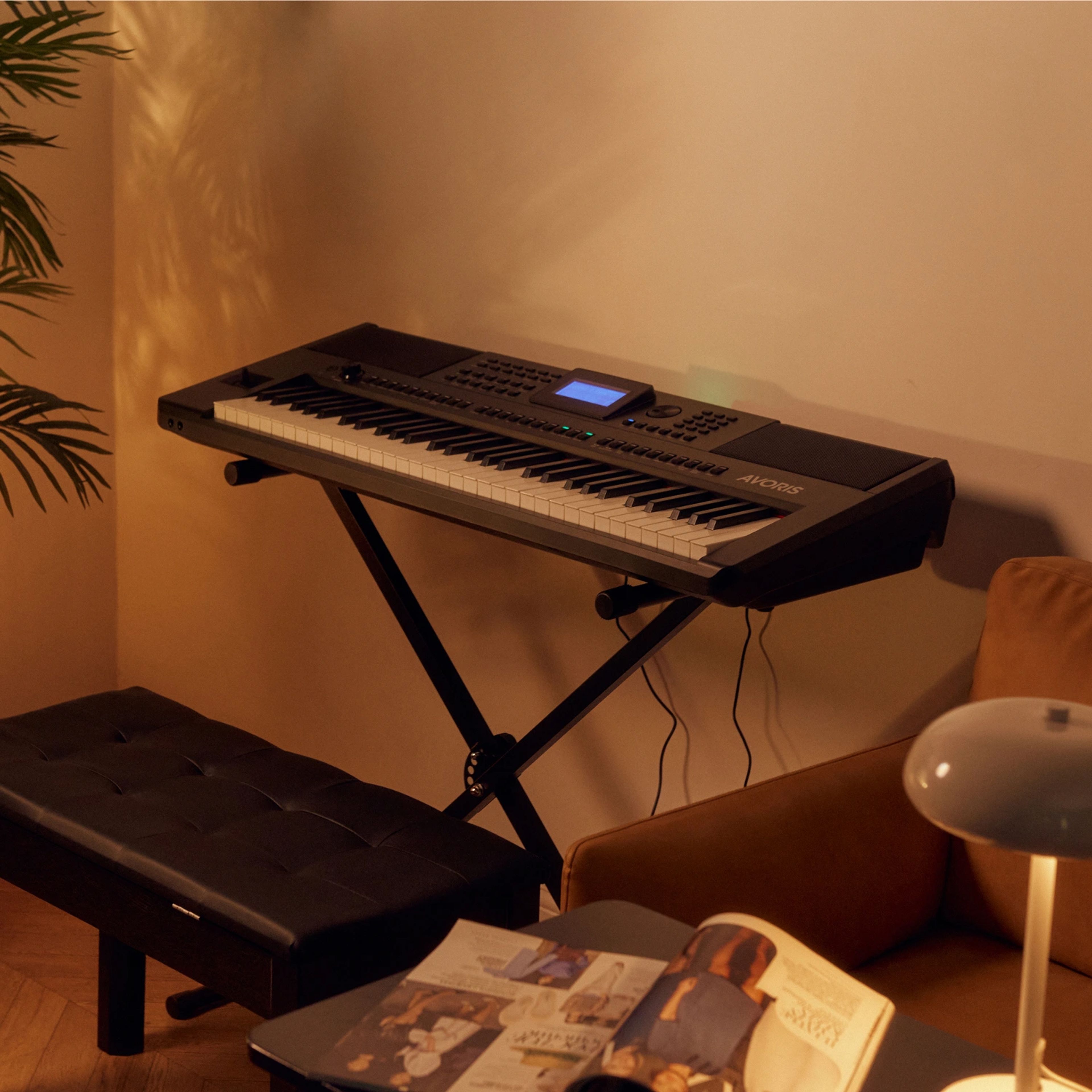 AVORIS X61