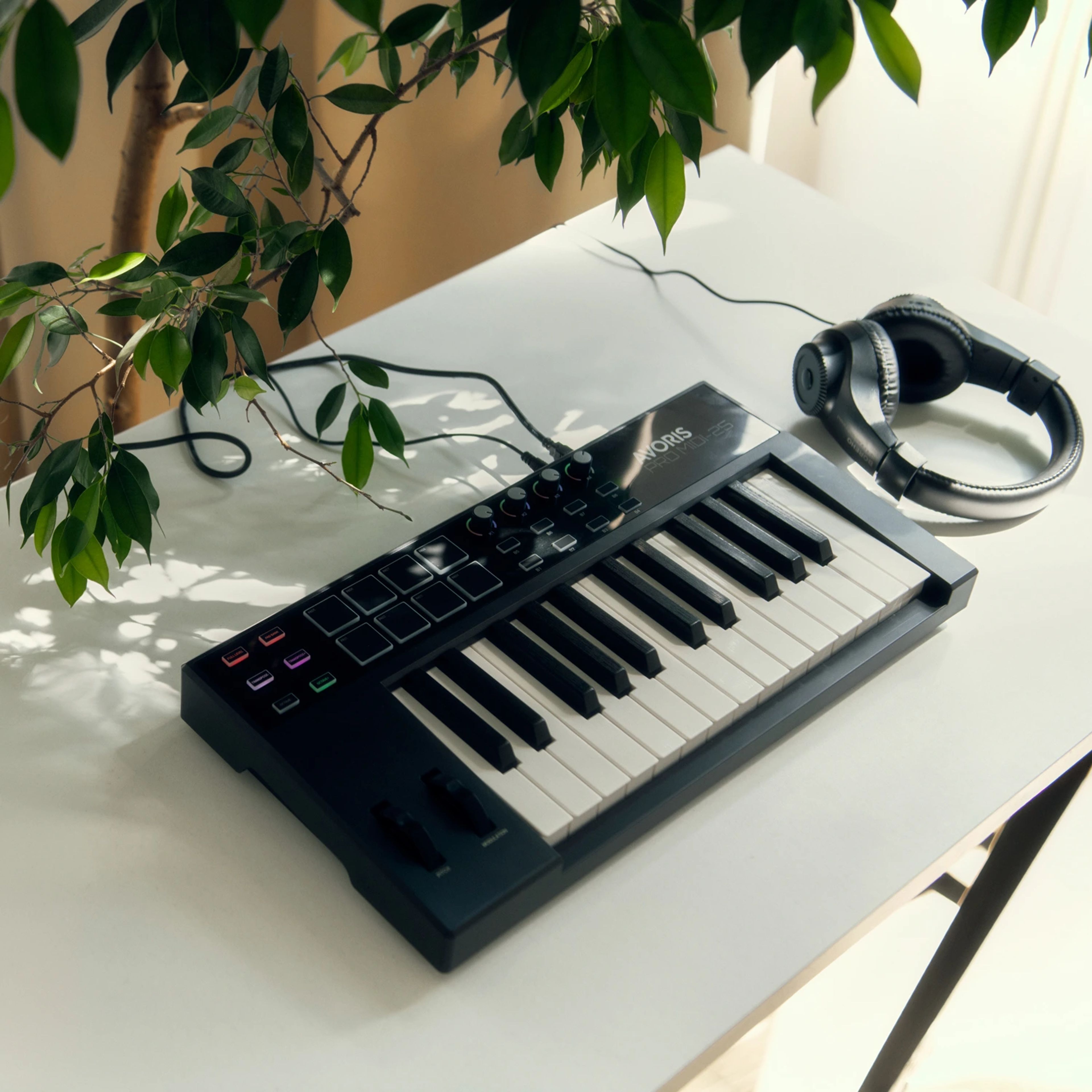 AVORIS PRO MIDI-25