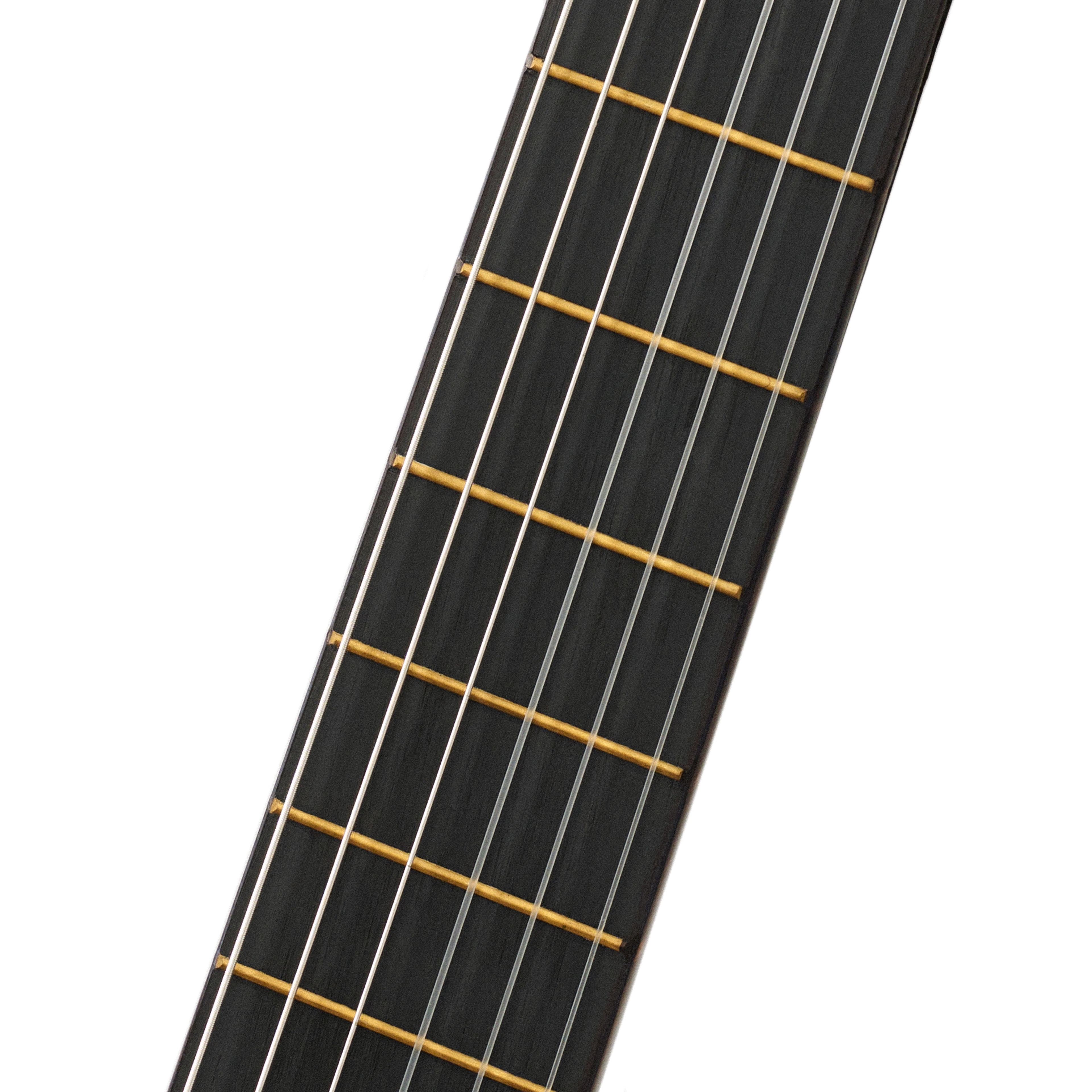 AVORIS GC-20F SuperCombo фото 7