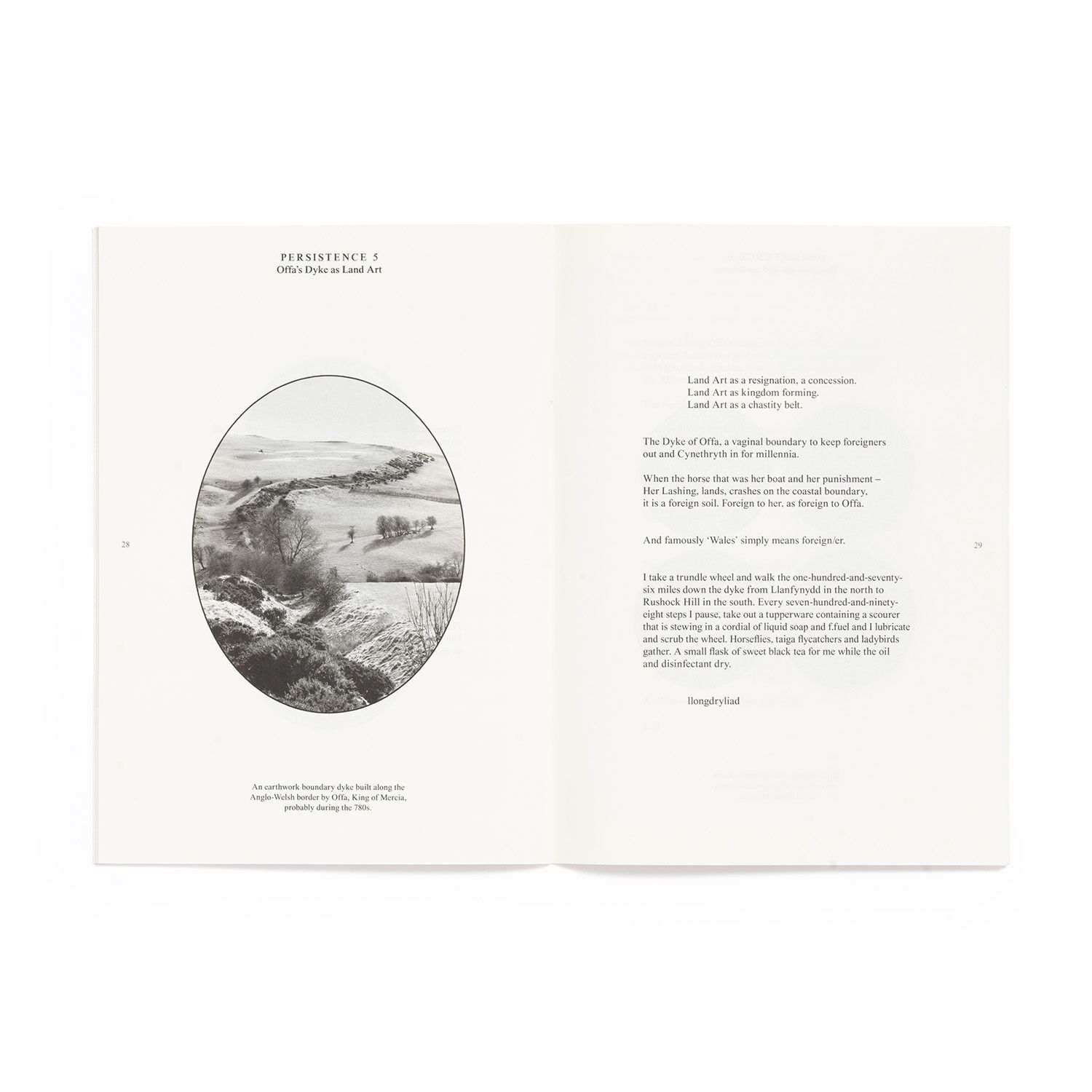 a photo of The Balls of Alban book