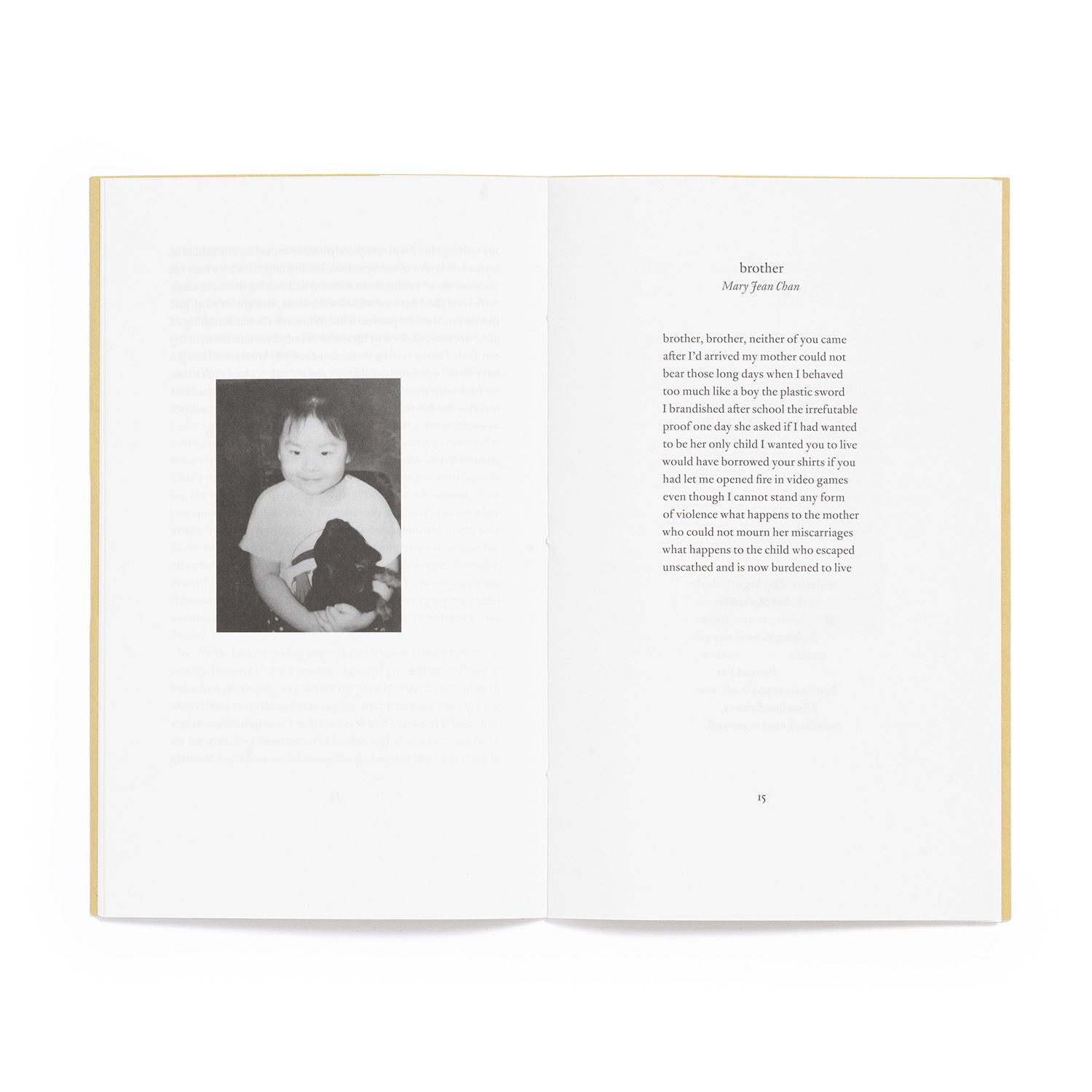 a photo of Siblings book