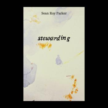 a photo of the book stewarding by Sean Roy Parker