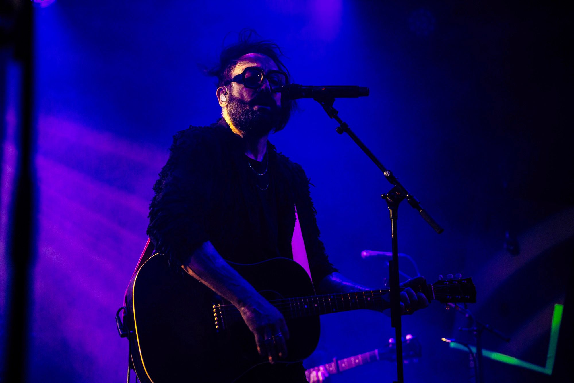 Blaudzun in melkweg met oormerk