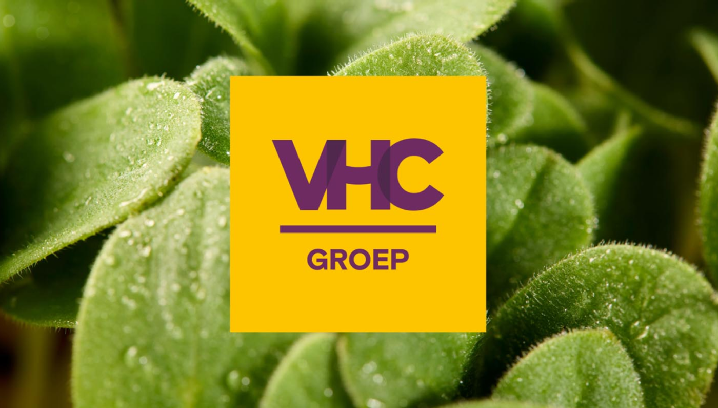 VHC Groep-logo op een achtergrond van groene bladeren