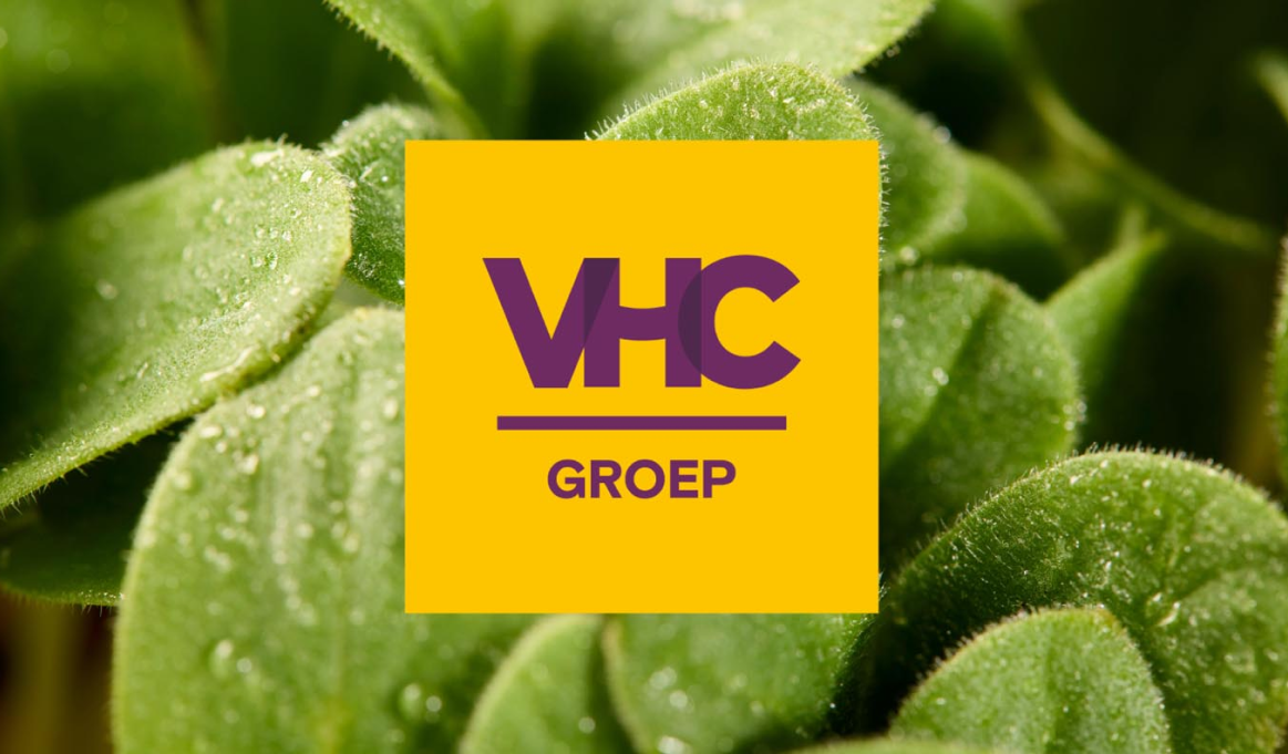 VHC Groep-logo op een achtergrond van groene bladeren