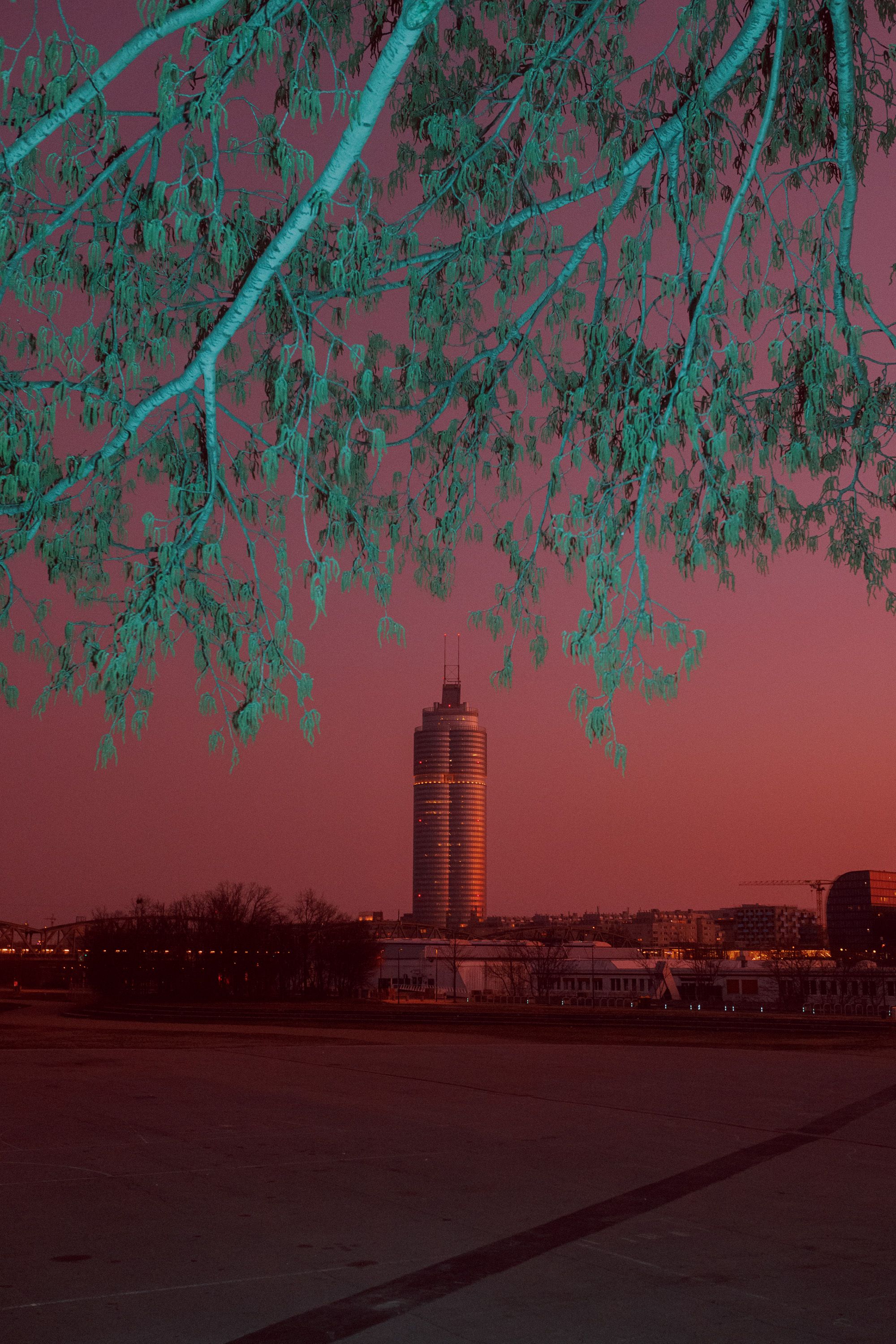 donau tower color tree