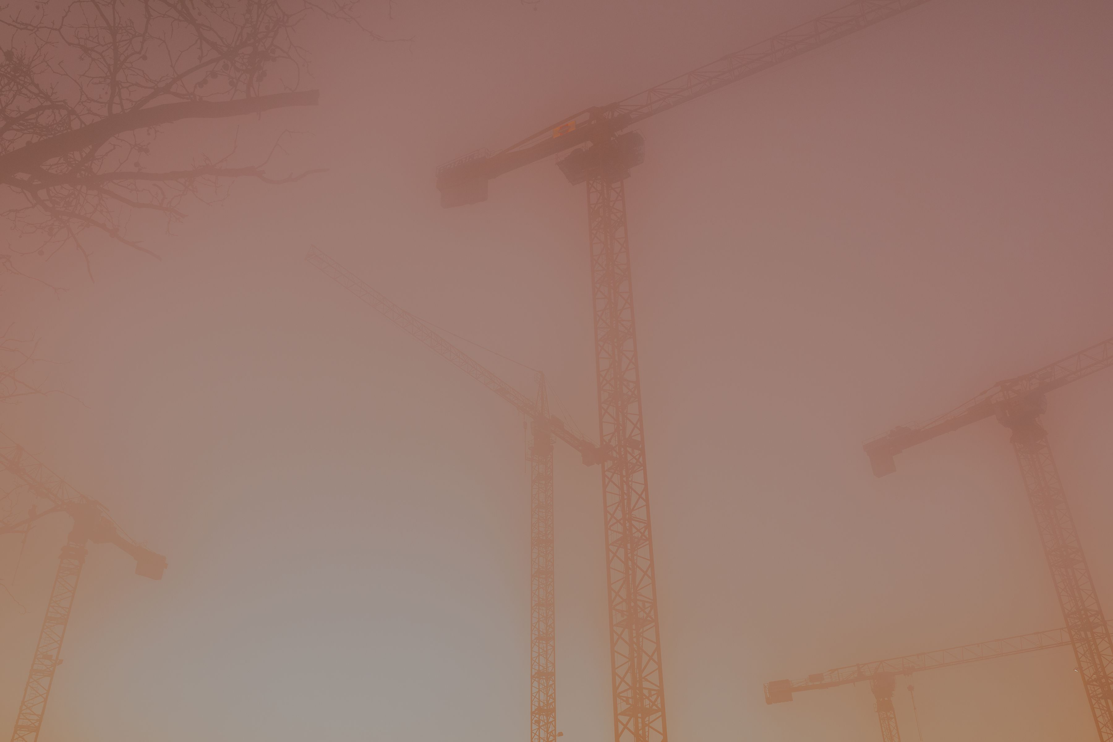 foggy cranes construction life