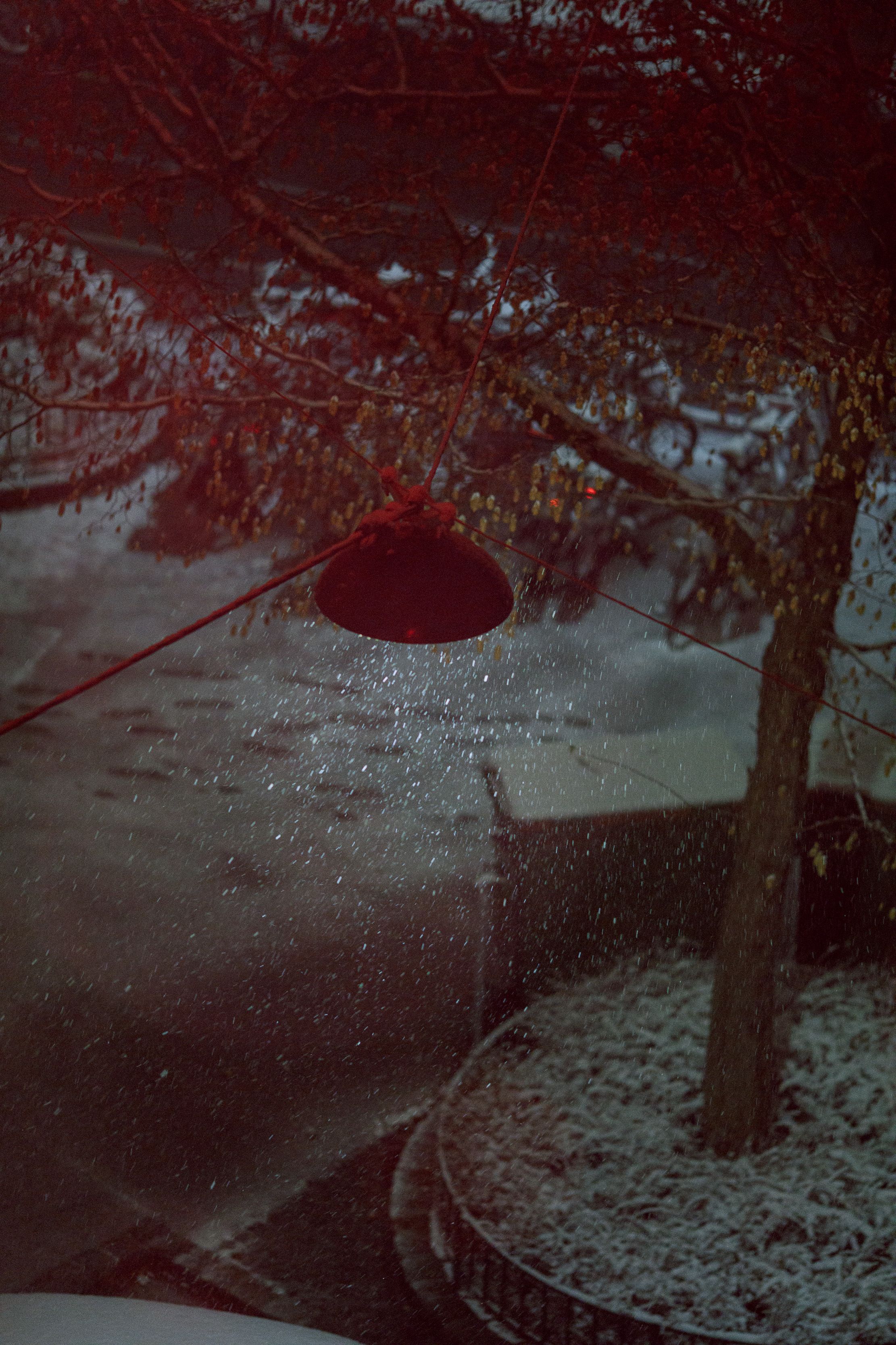 red winter snowy scene with a streetlight and a tree