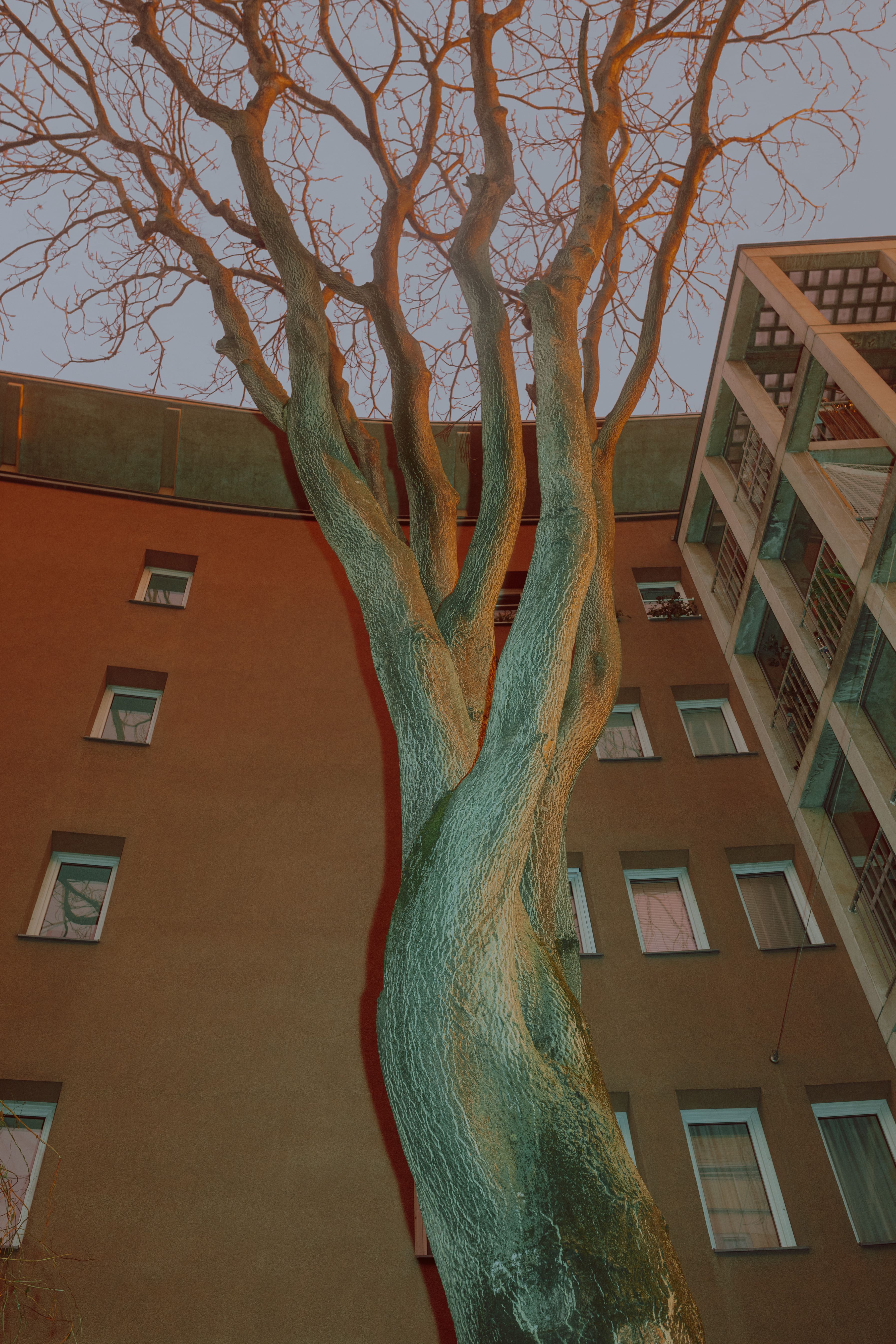 green tree