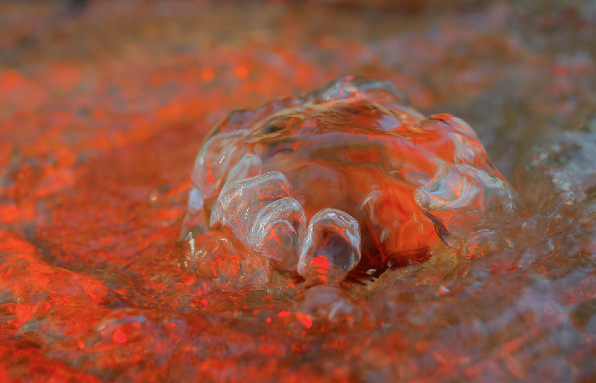red water crown collapsing surface tension