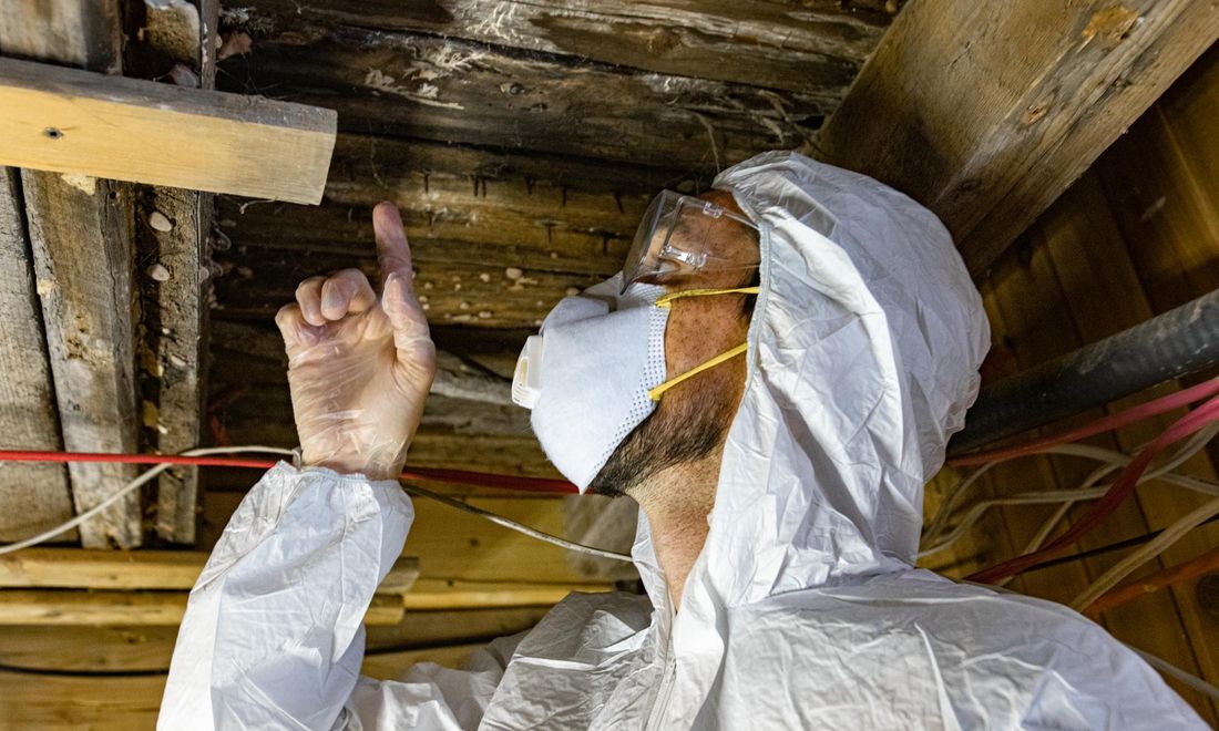 Crawl Space Repair