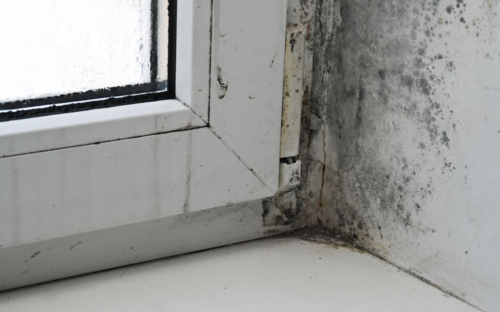 Is Crawl Space Encapsulation Worth It in Hampton Roads?