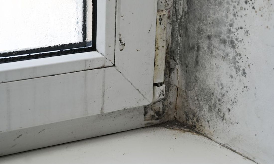 Moisture Control