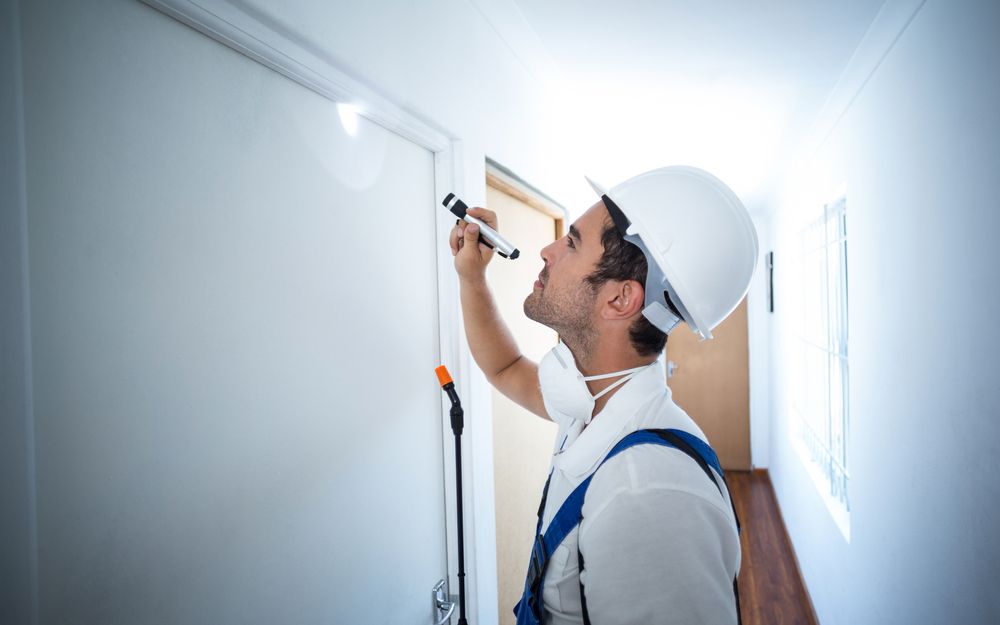 What a WDI Inspection Report Actually Tells You