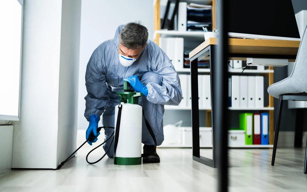 How Much Does an Exterminator Cost in Virginia Beach? (2026 Pricing Guide)