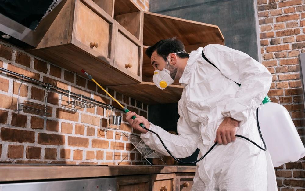 One-Time Treatment or Recurring Plan — Which Do You Need?