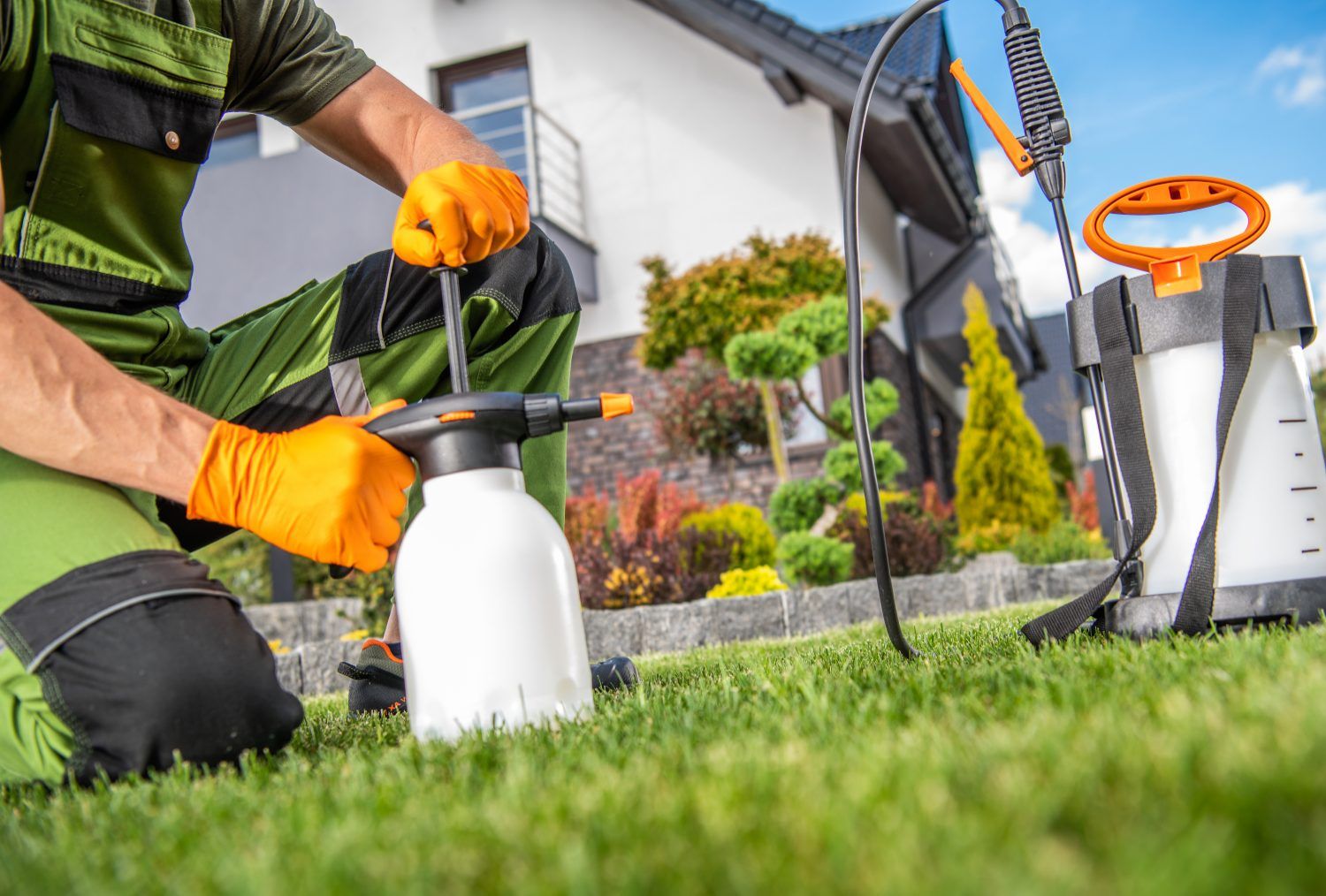Pest Control in Virginia Beach: What It Costs and How to Choose a Company