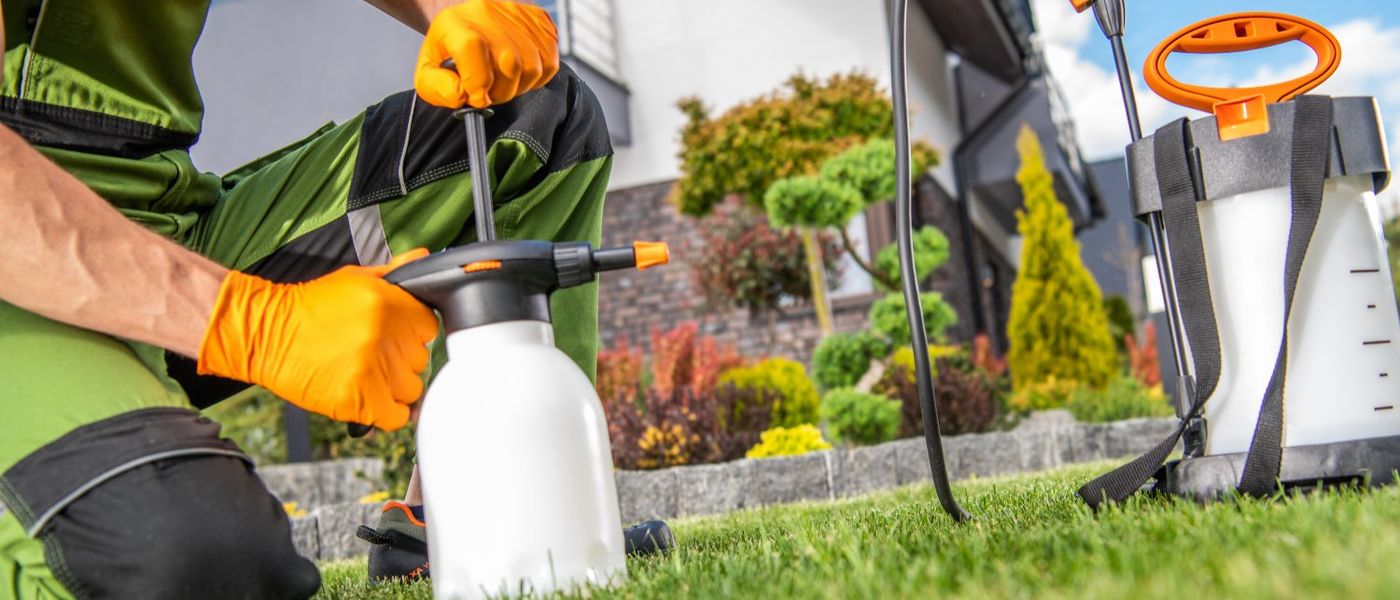 Pest Control in Virginia Beach: What It Costs and How to Choose a Company