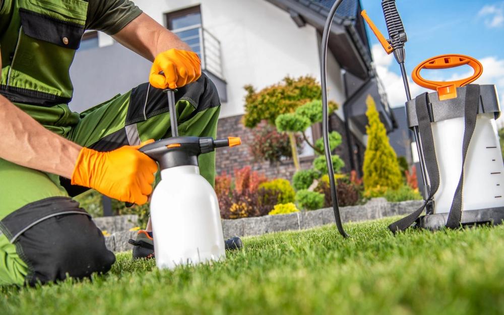 Pest Control in Virginia Beach: What It Costs and How to Choose a Company