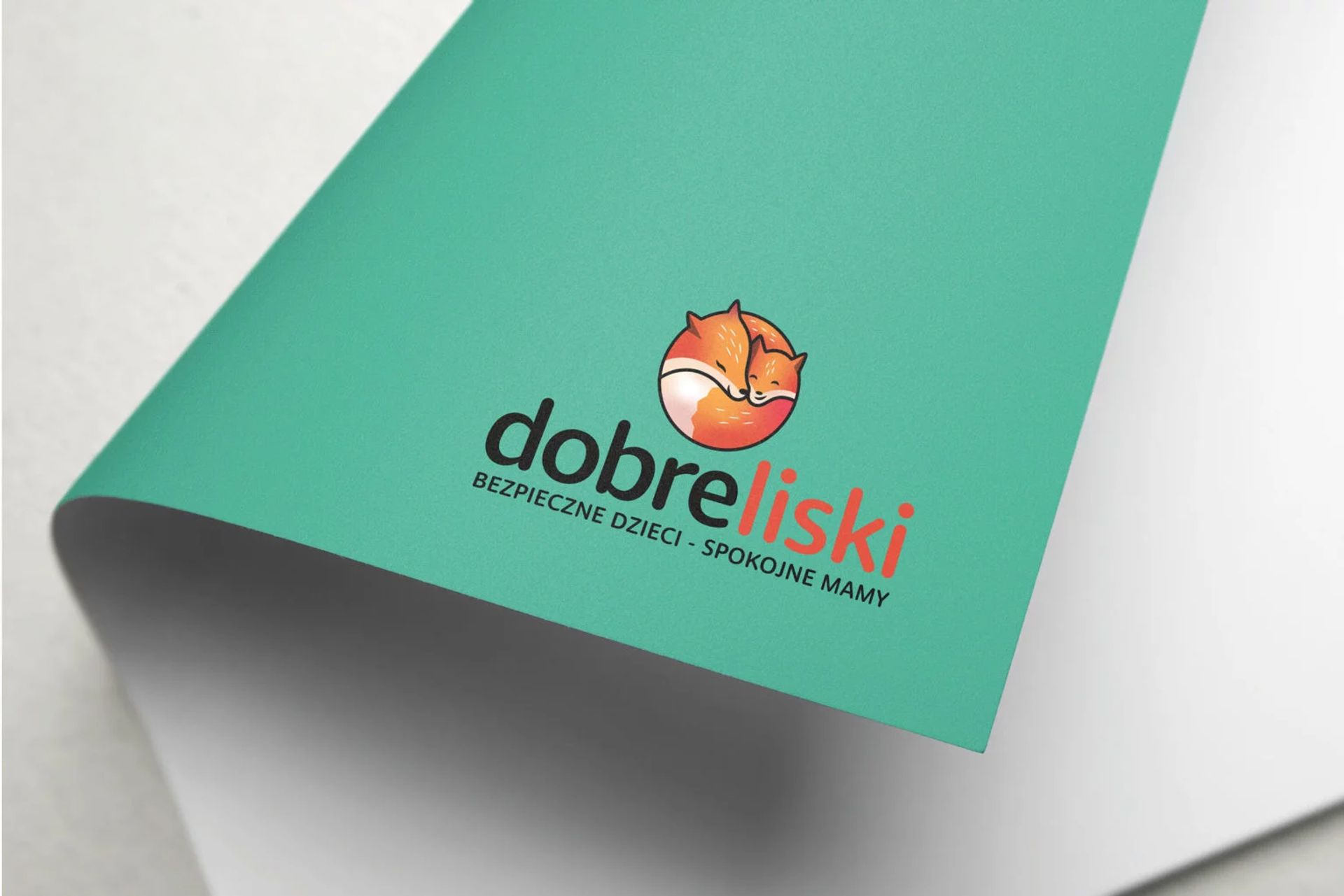 Rebranding sklepu dziecięcego – Dobre Liski