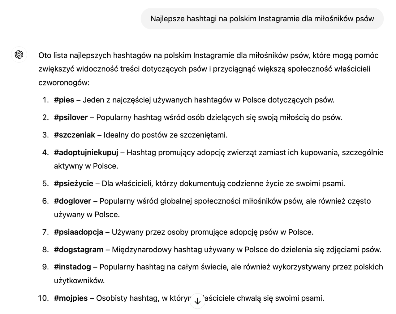 Lista 10 najlepszych hashtagów na polskim Instagramie dla miłośników psów