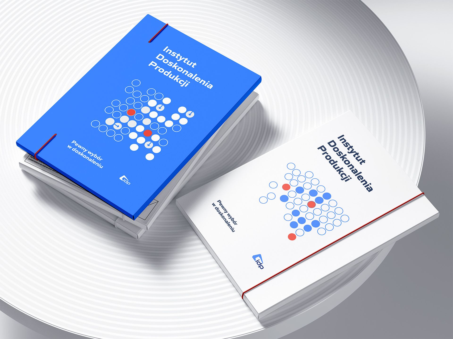 Rebranding Instytutu Doskonalenia Produkcji - strategia marki, identyfikacja wizualna, serwis www oraz marketing