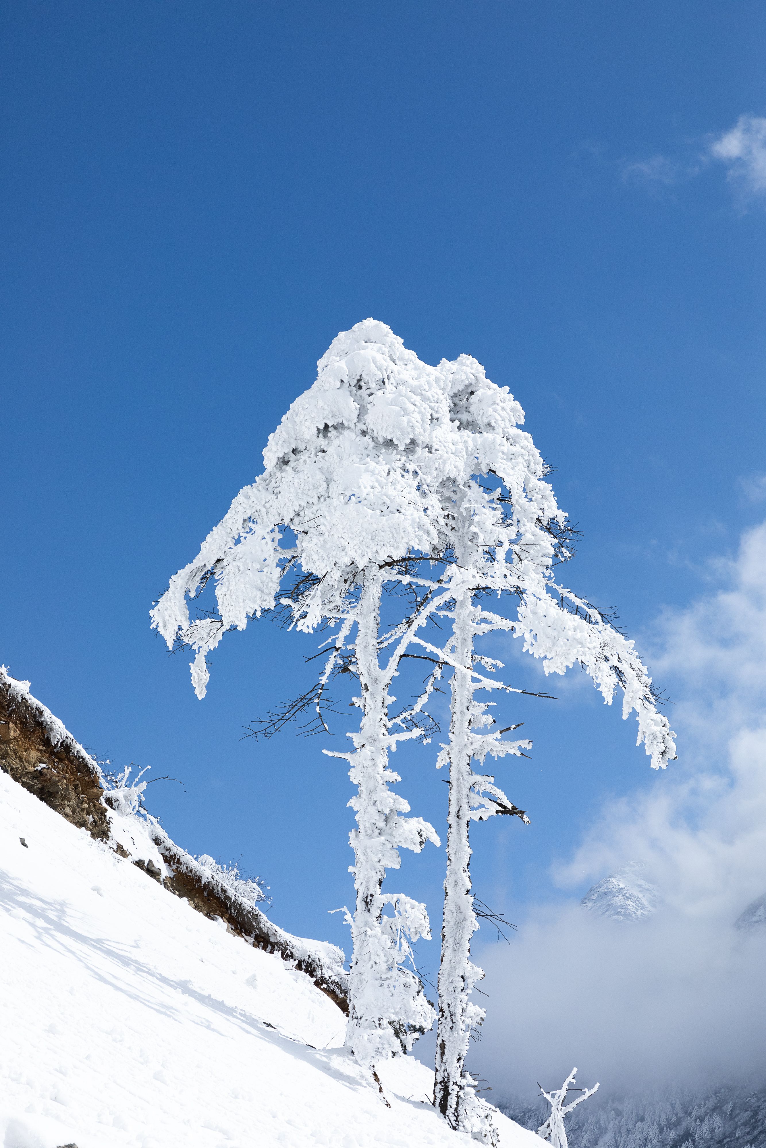 Travel and Landscape photo